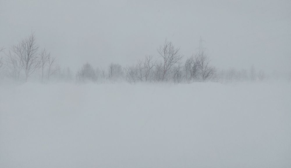 Фотография автора Елена Колосова