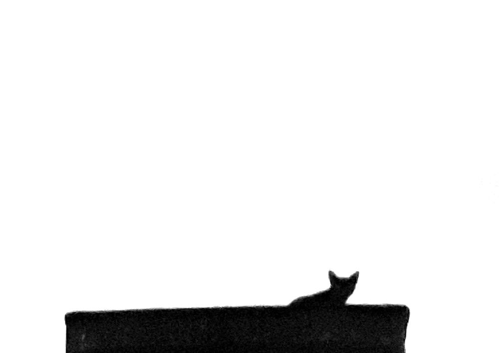 Фотография автора Marcia de Freitas Araujo