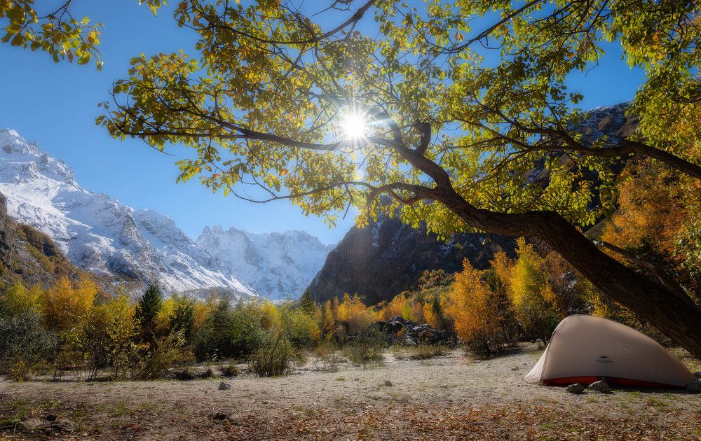 Фотография автора Шевченко Юрий
