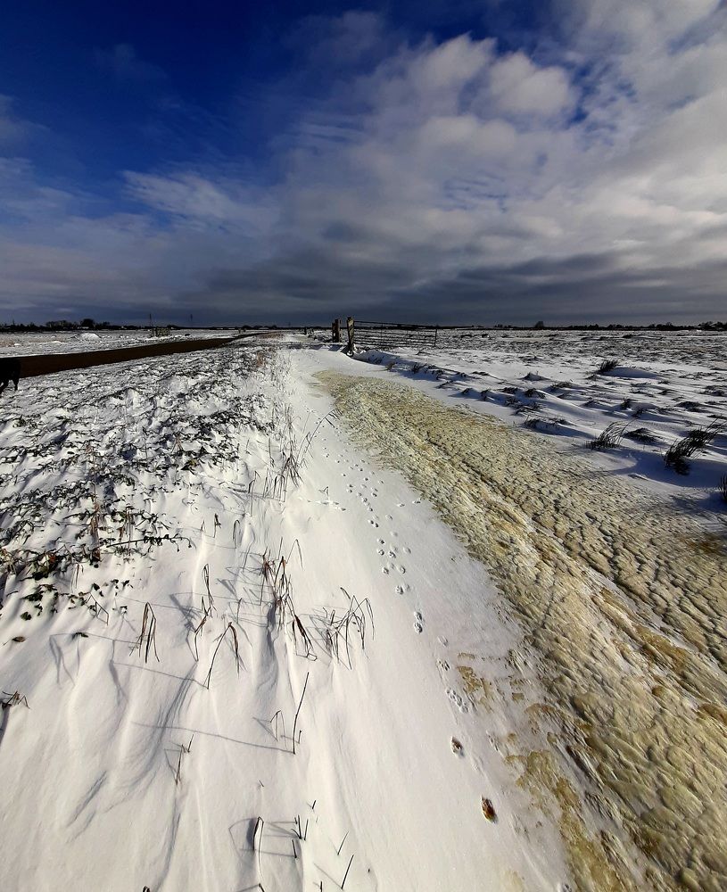 Photograph by Sacha van Rietschoten