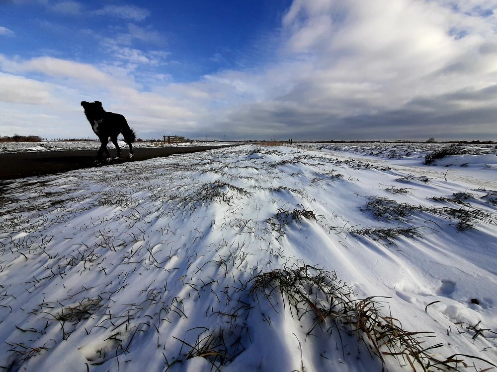 Photograph by Sacha van Rietschoten