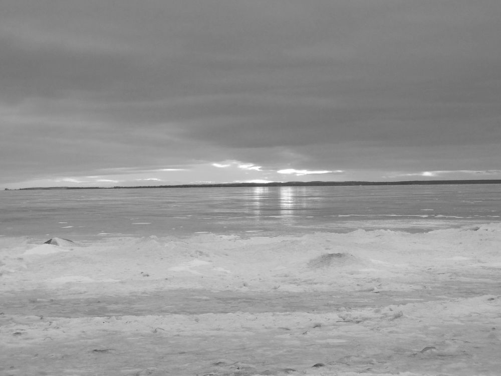 Черно-белая зима.