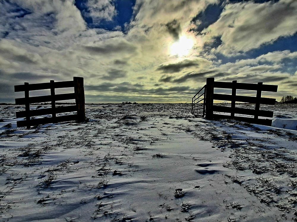 Photograph by Sacha van Rietschoten