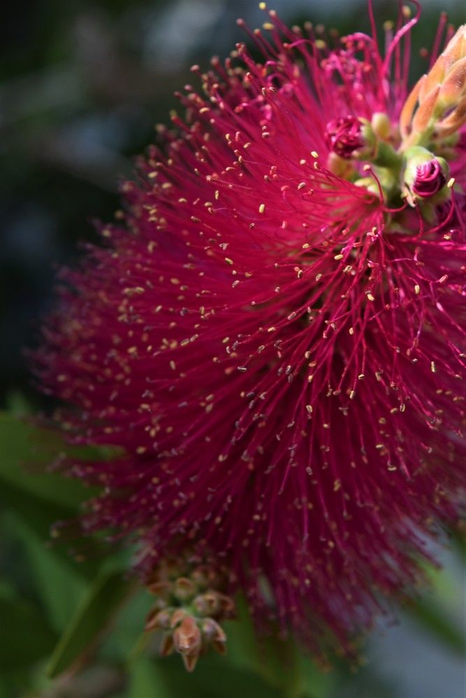 Photograph by Сергей Подлевский