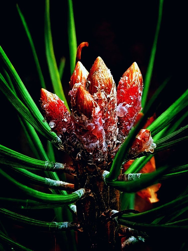 Photograph by Alexandr