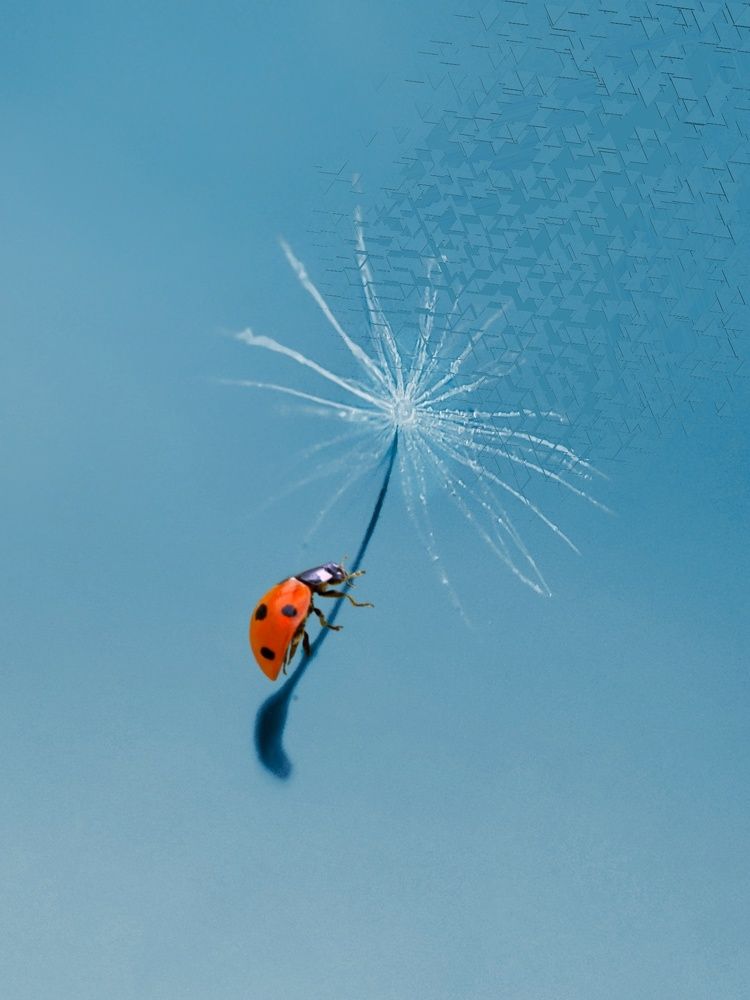 Photograph by Оксана Маракушина