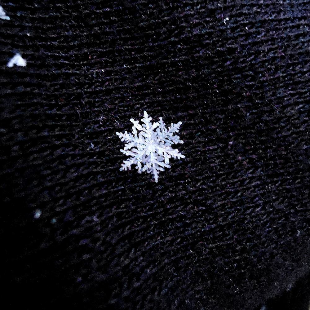 Photograph by Оксана Маракушина