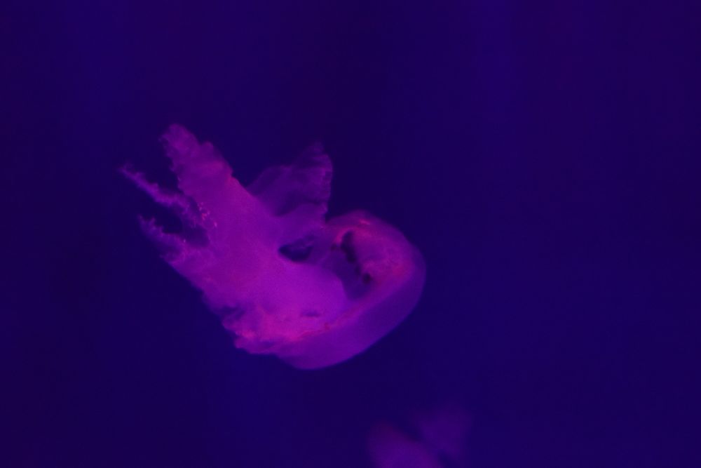 Photograph by Сергей Подлевский