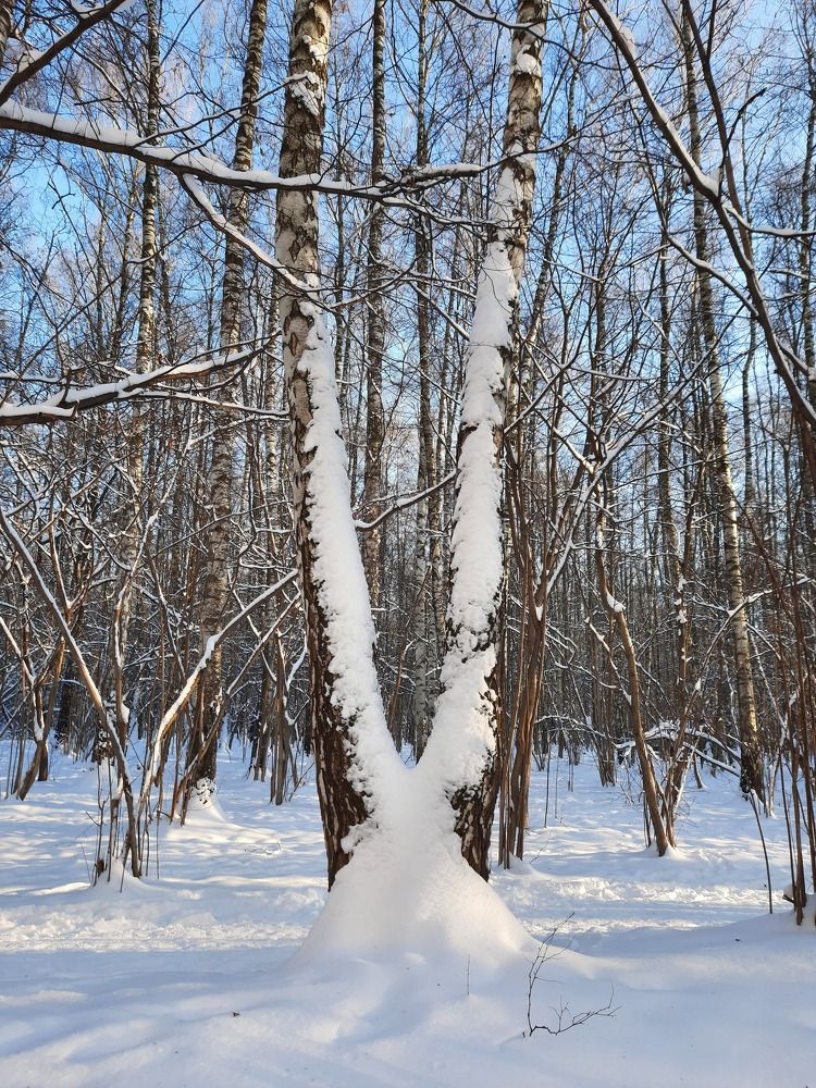 Photograph by Татьяна