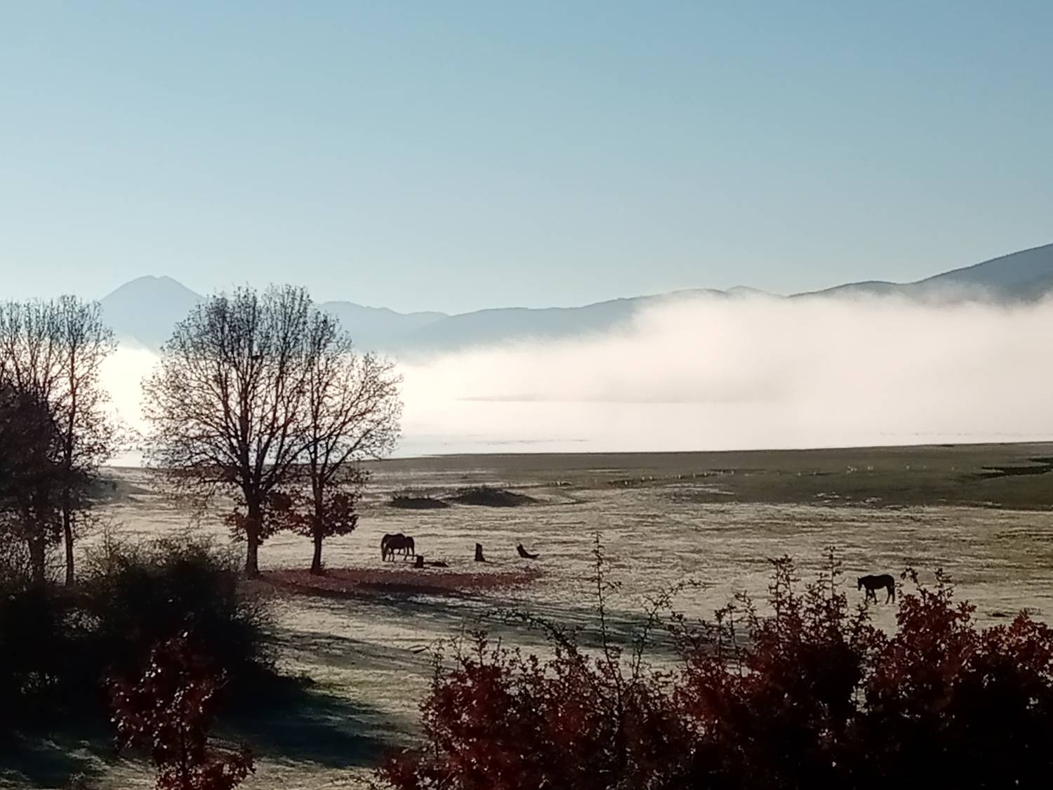 Photo #7150122