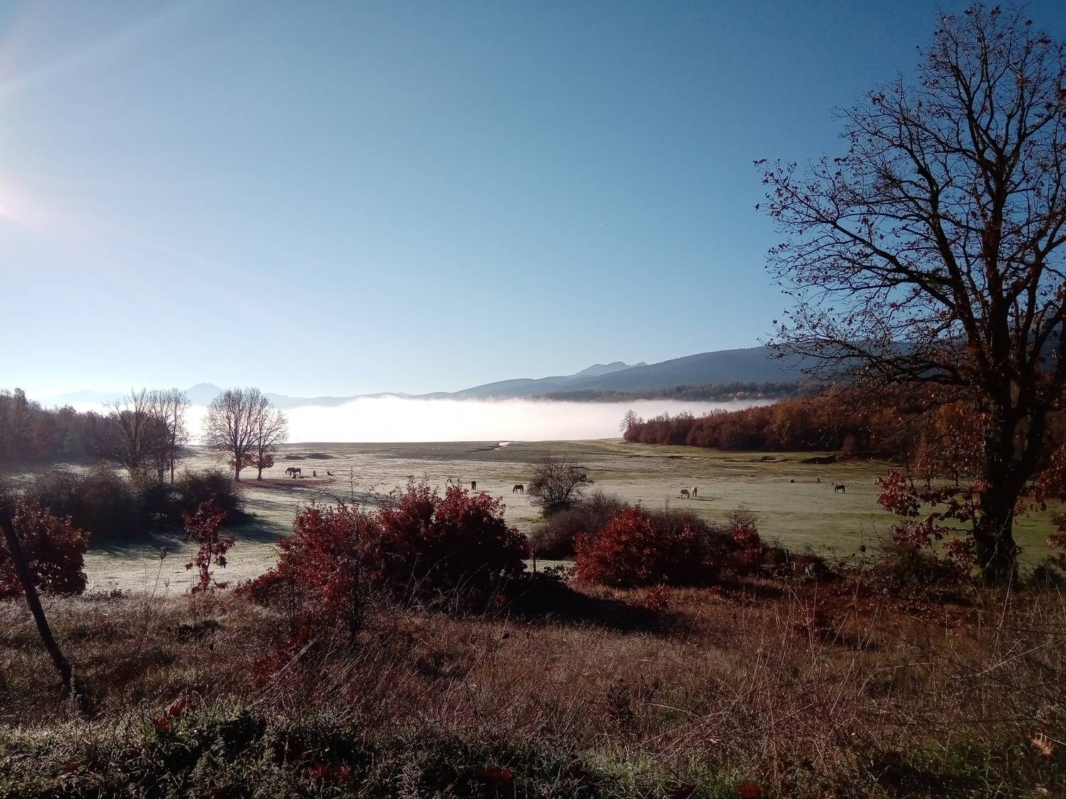 Photo #7150126