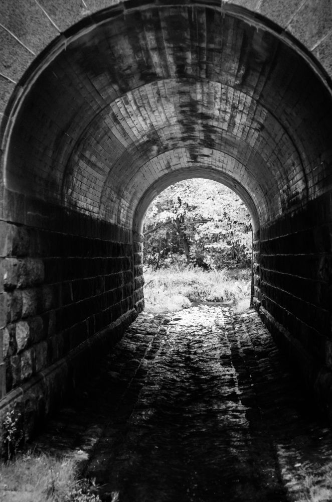 Photograph by Vladislava Eistere