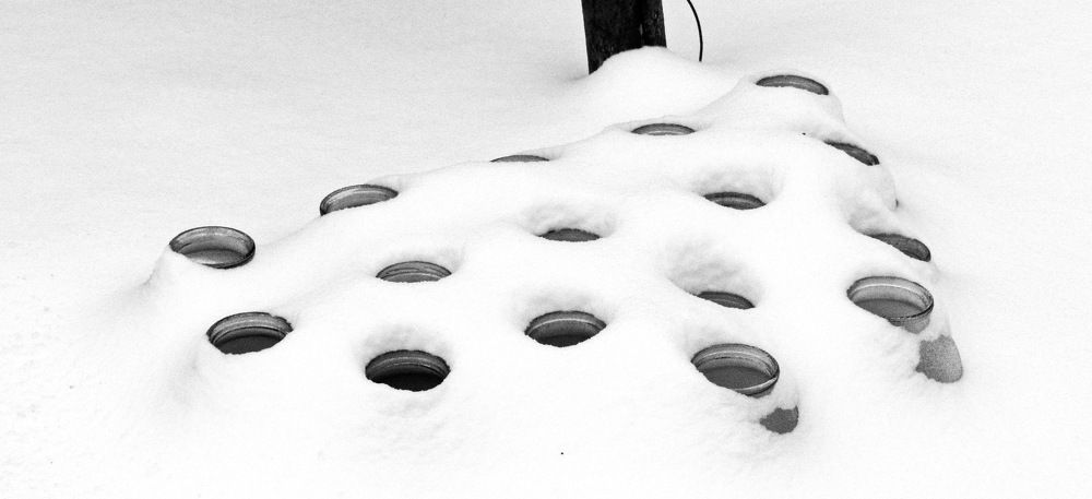 Photograph by Павло Дінець