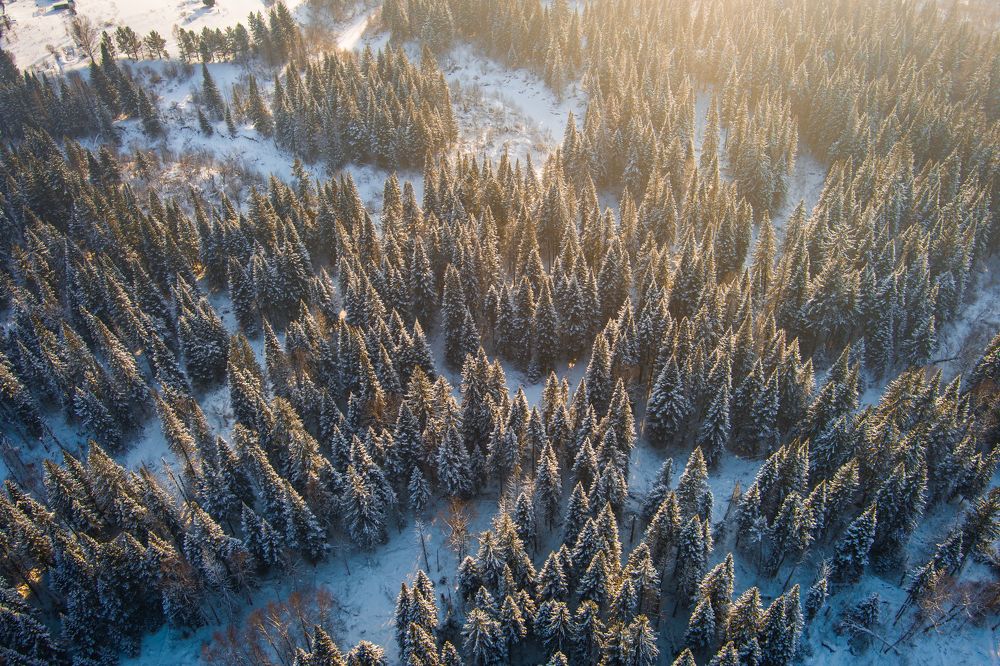 Photograph by Андрей Кузнецов