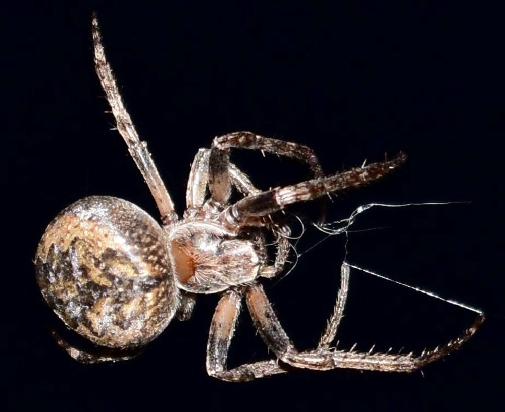 Photograph by Елена Глухова