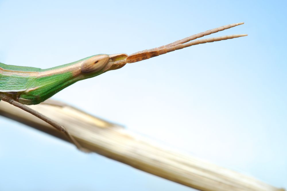 Фотография автора Panagiotis Dalagiorgos