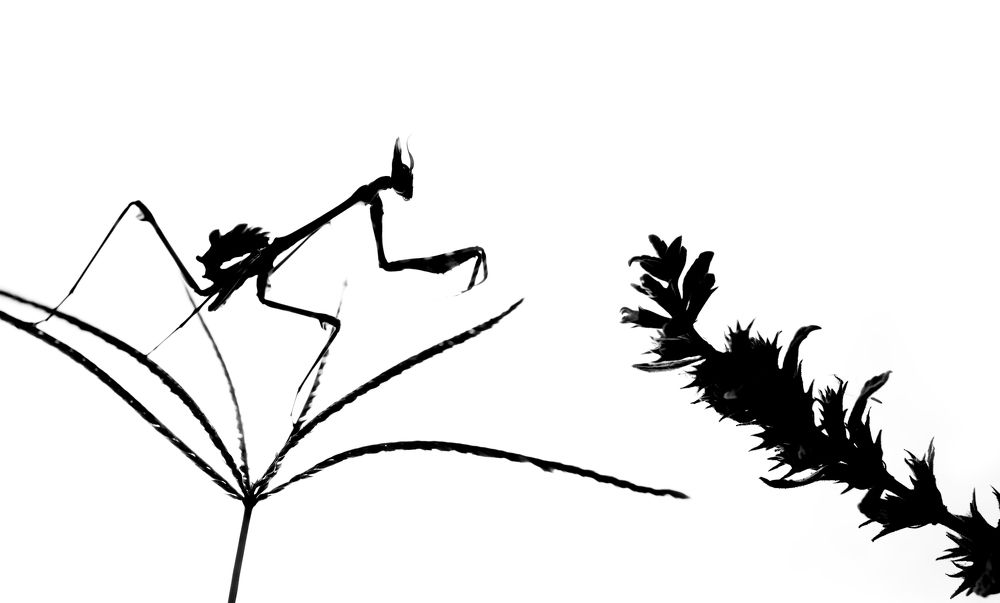 Фотография автора Panagiotis Dalagiorgos