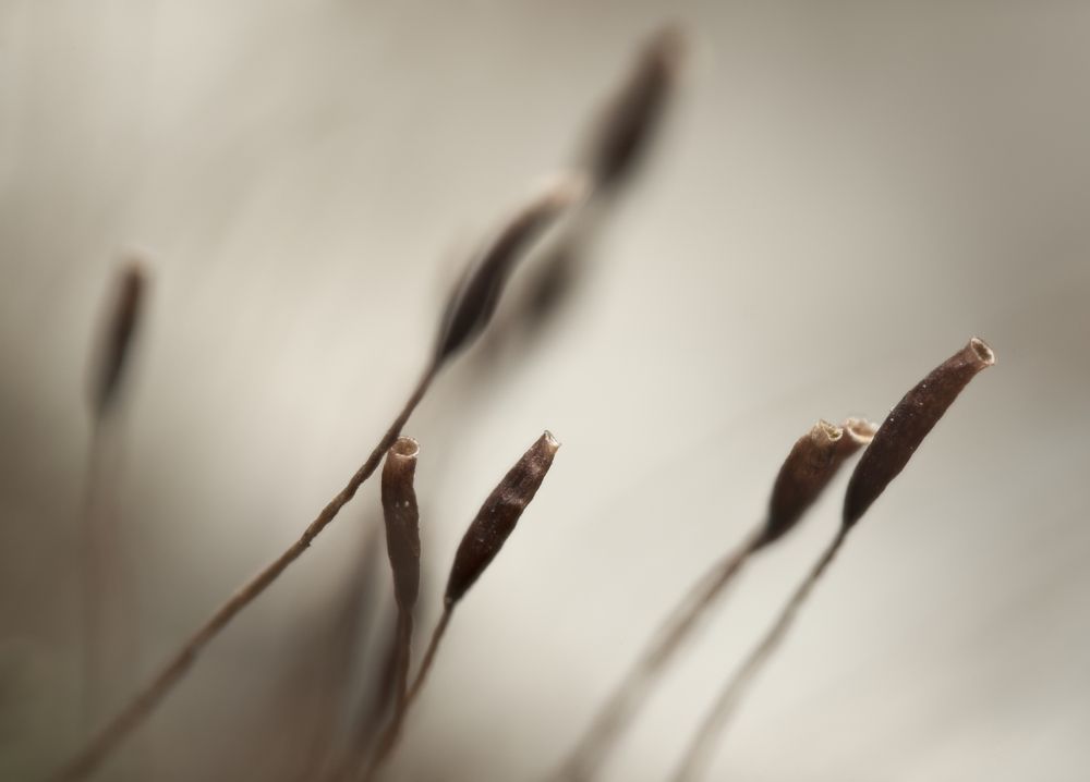 Фотография автора Panagiotis Dalagiorgos