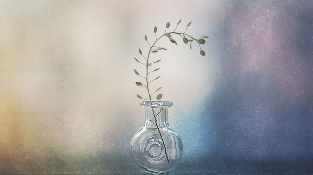 Фотография автора Мария Обидина