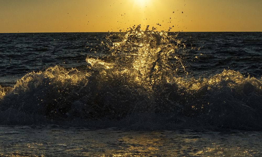 Дракон в золотом