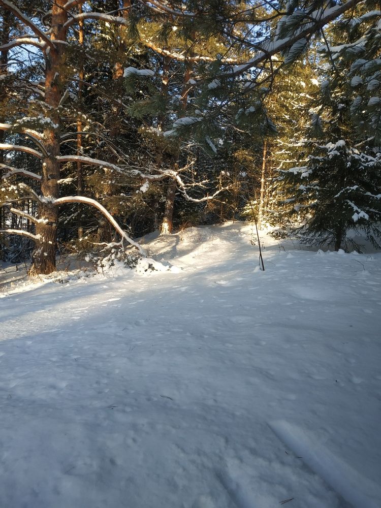 Photograph by Екатерина Евгеньевна