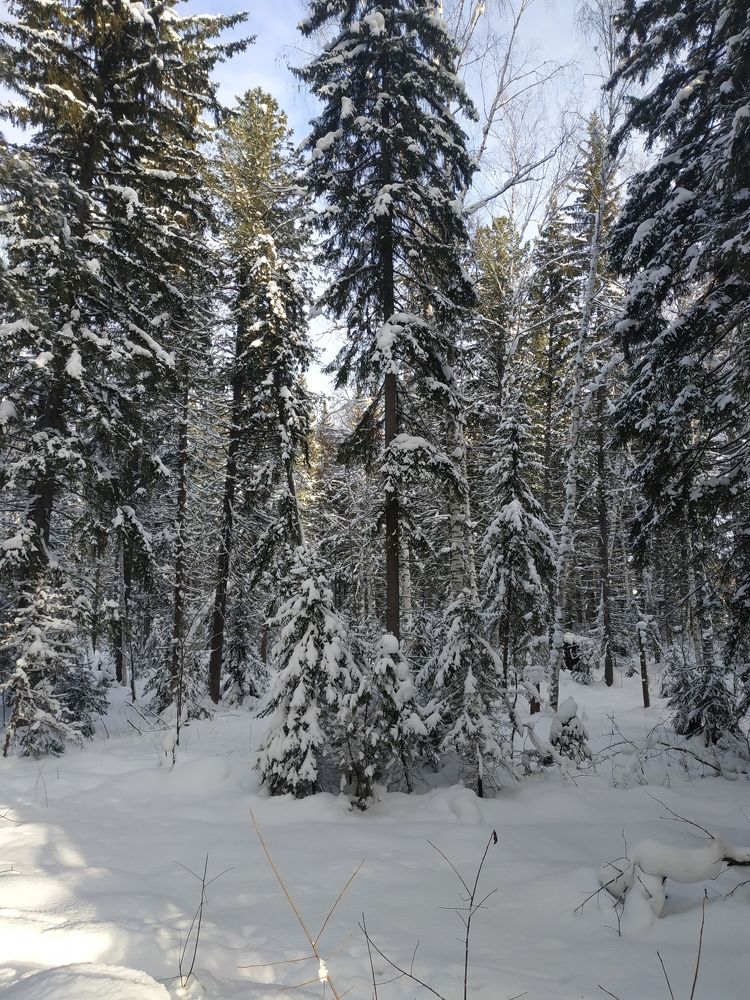 Photograph by Екатерина Евгеньевна