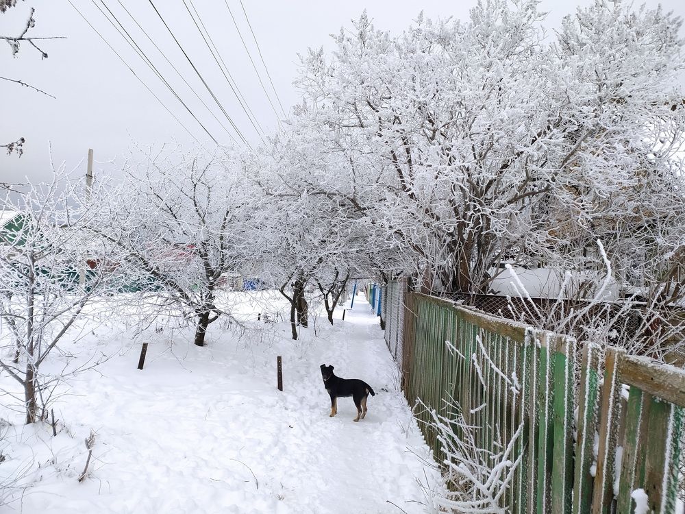 Photograph by Litvinova Ann