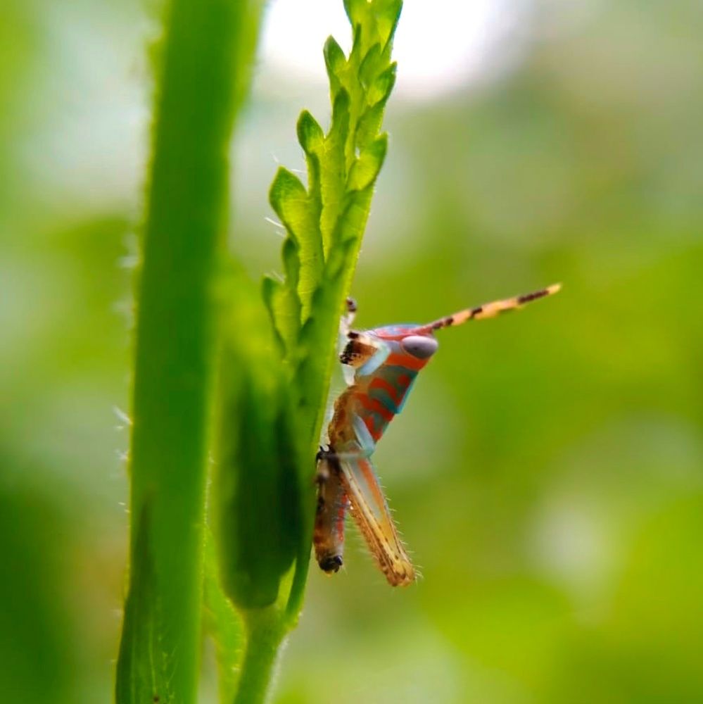 Photograph by AKSHAYA KOLATHUR