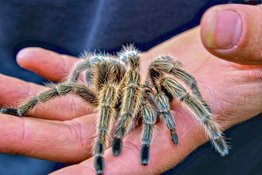 Photograph by William Mazuera