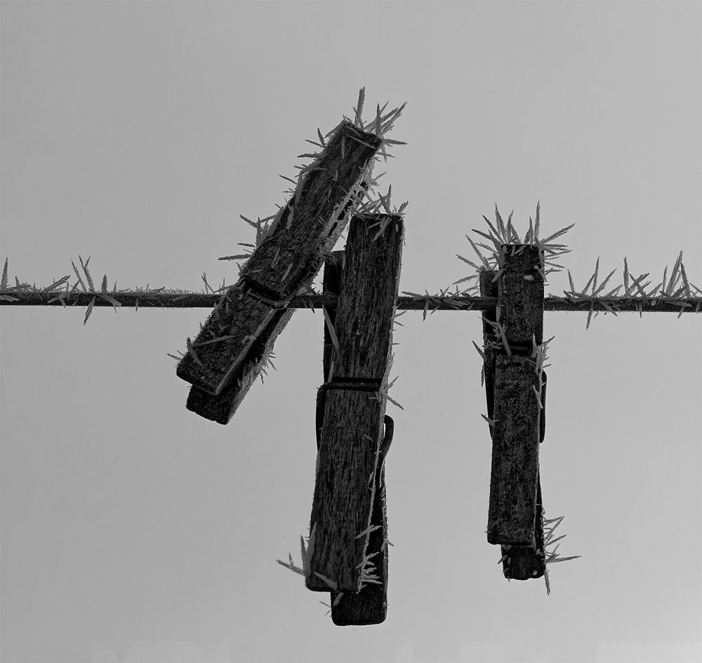 Matin de givre....d'où l'expression " çà pince. "....