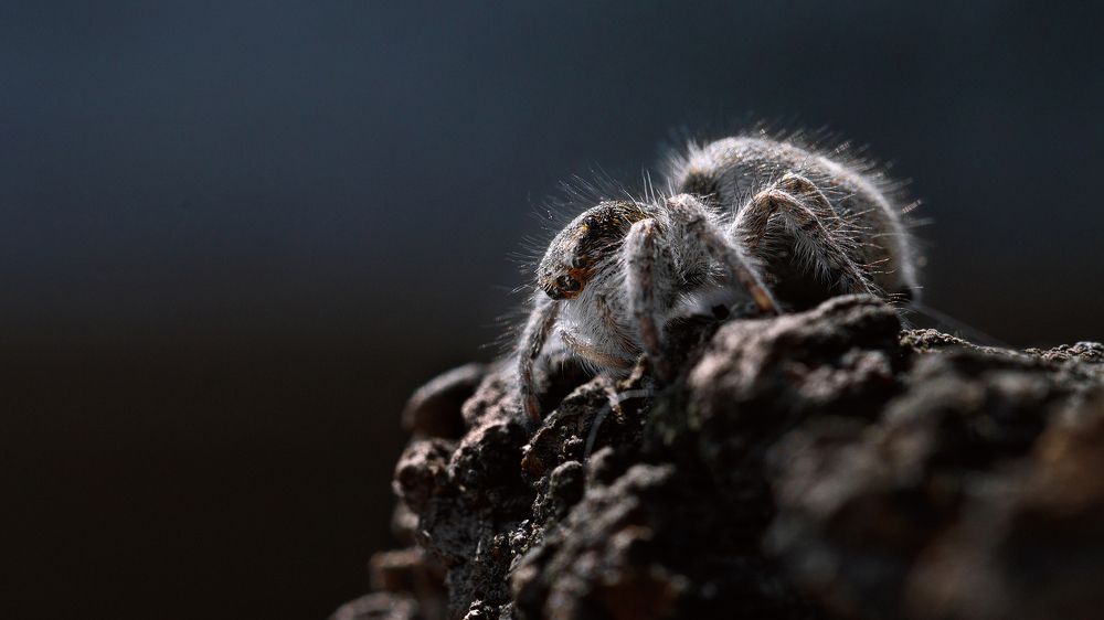 Photograph by Михаил Шпирко