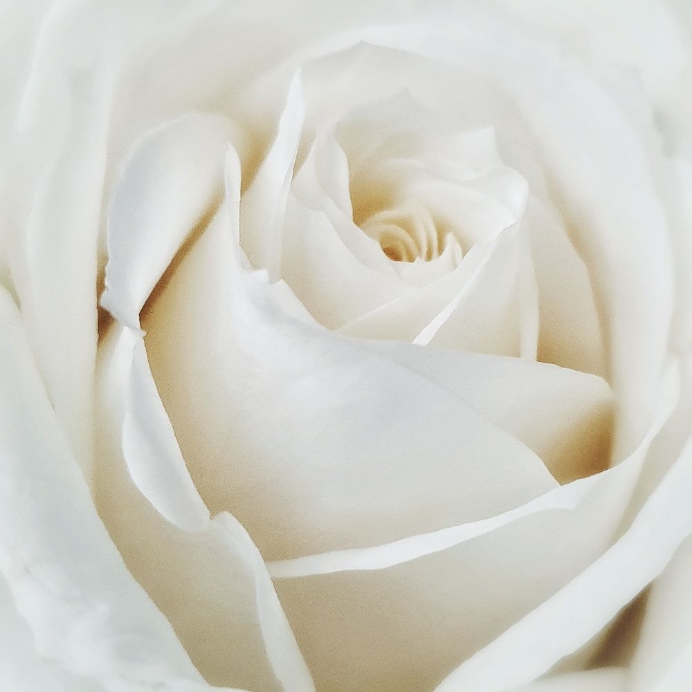 Фотография автора Юлия Таран