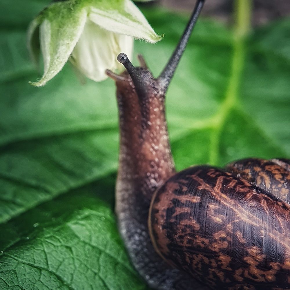 Фотография автора Юлия Таран