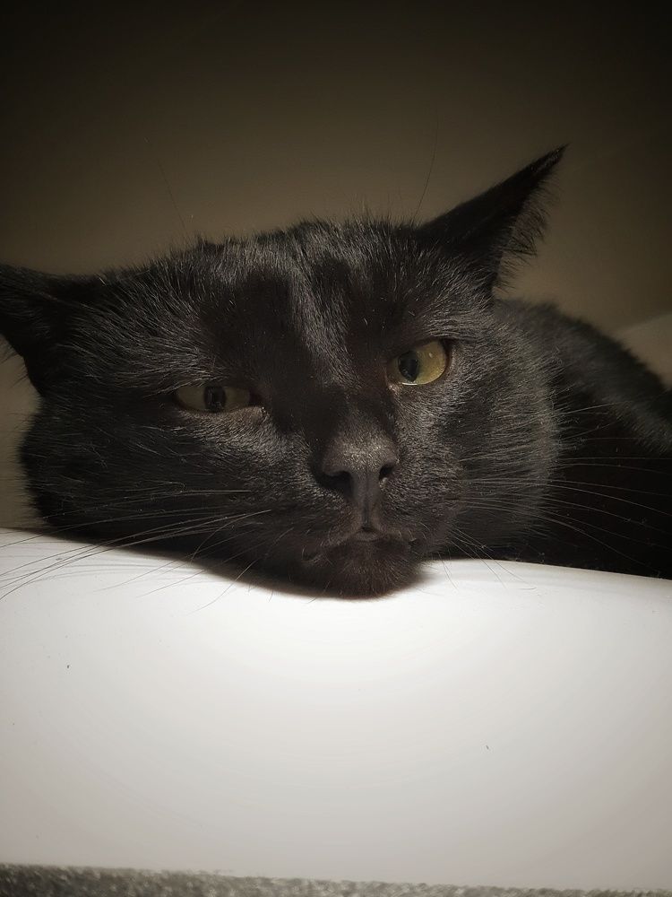 Фотография автора Юлия Таран