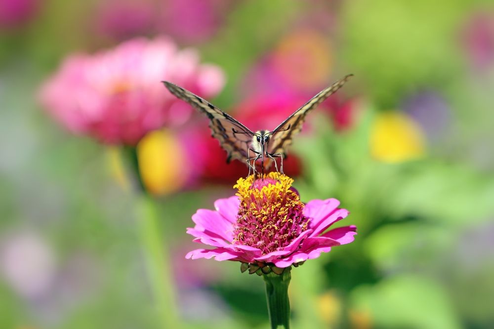 Photograph by Любовь Саханова