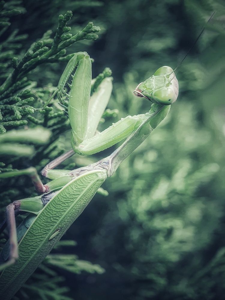 Фотография автора Юлия Таран