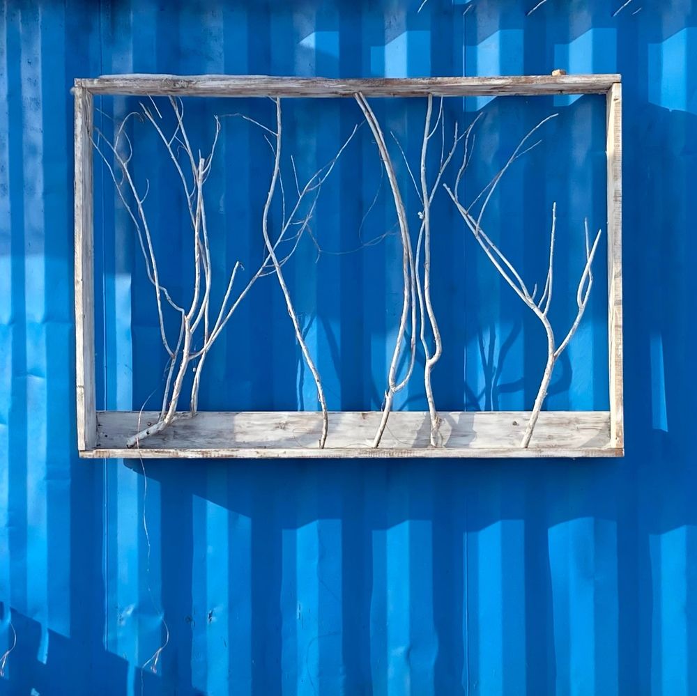 Photograph by Райхерт Вероника