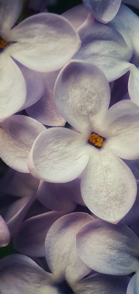 Фотография автора Юлия Таран