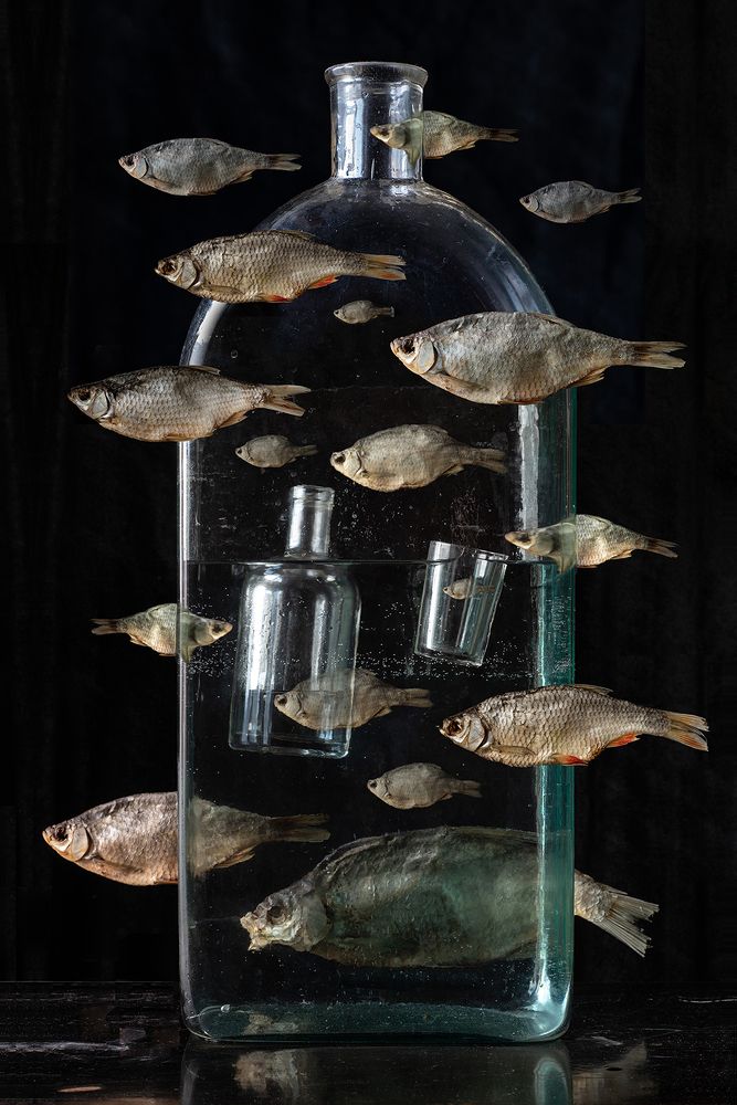 Жажда сухих рыб . Thirst for dry fish.