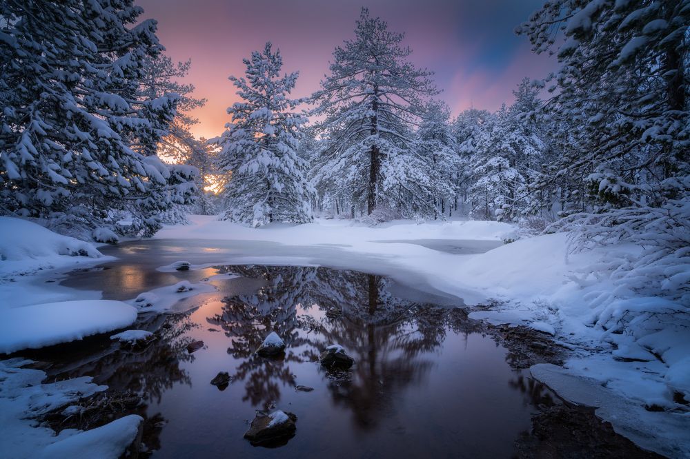 Photograph by Evgeni Fabis