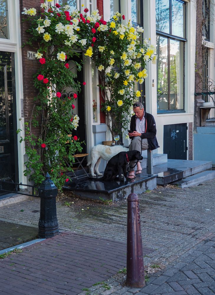 Фотография автора Madina Musaeva