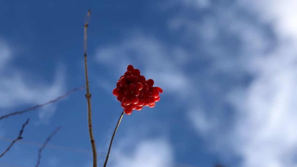 Photograph by Евгений Шуст