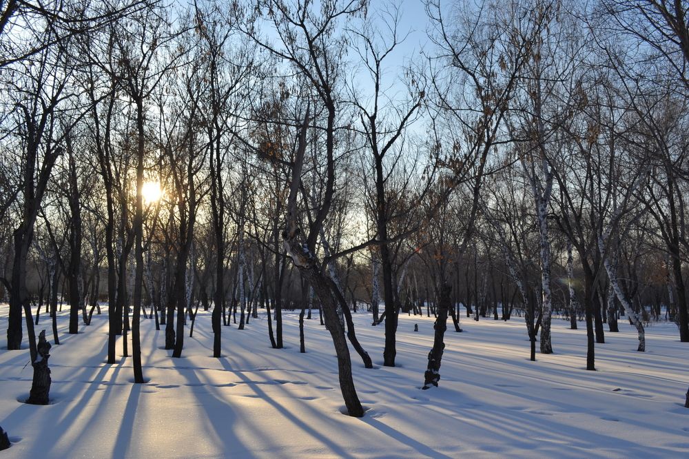 Фотография автора Андрей Хлопонин