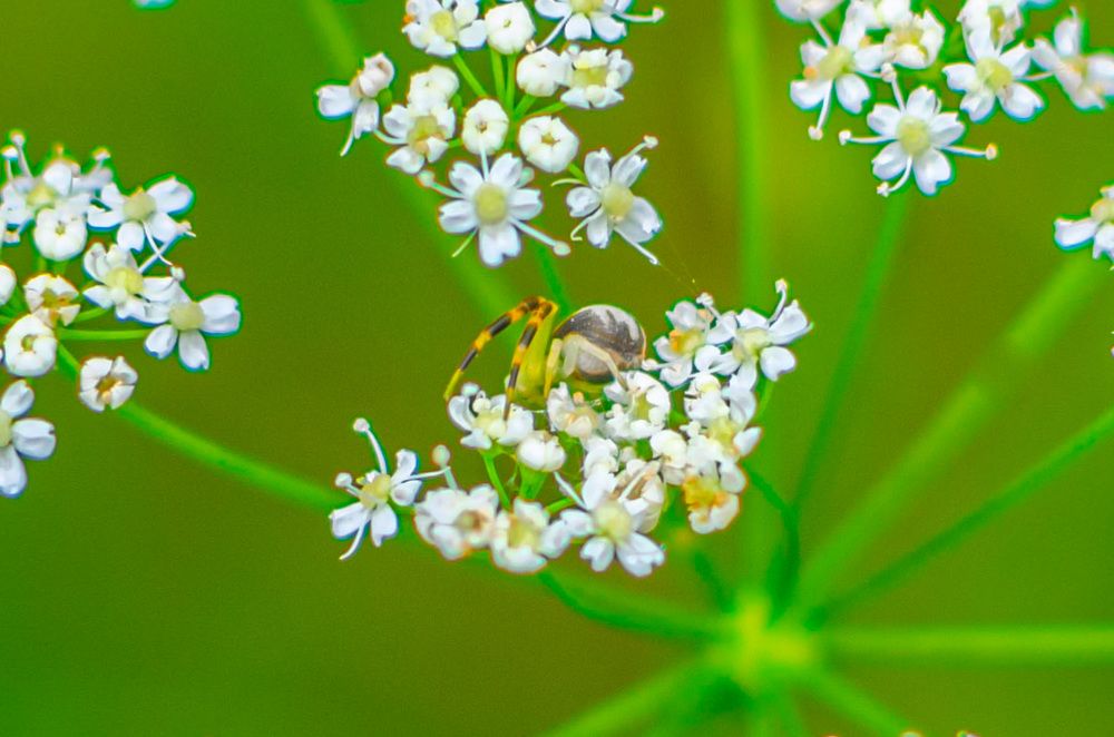 Photograph by Артём Шестаков