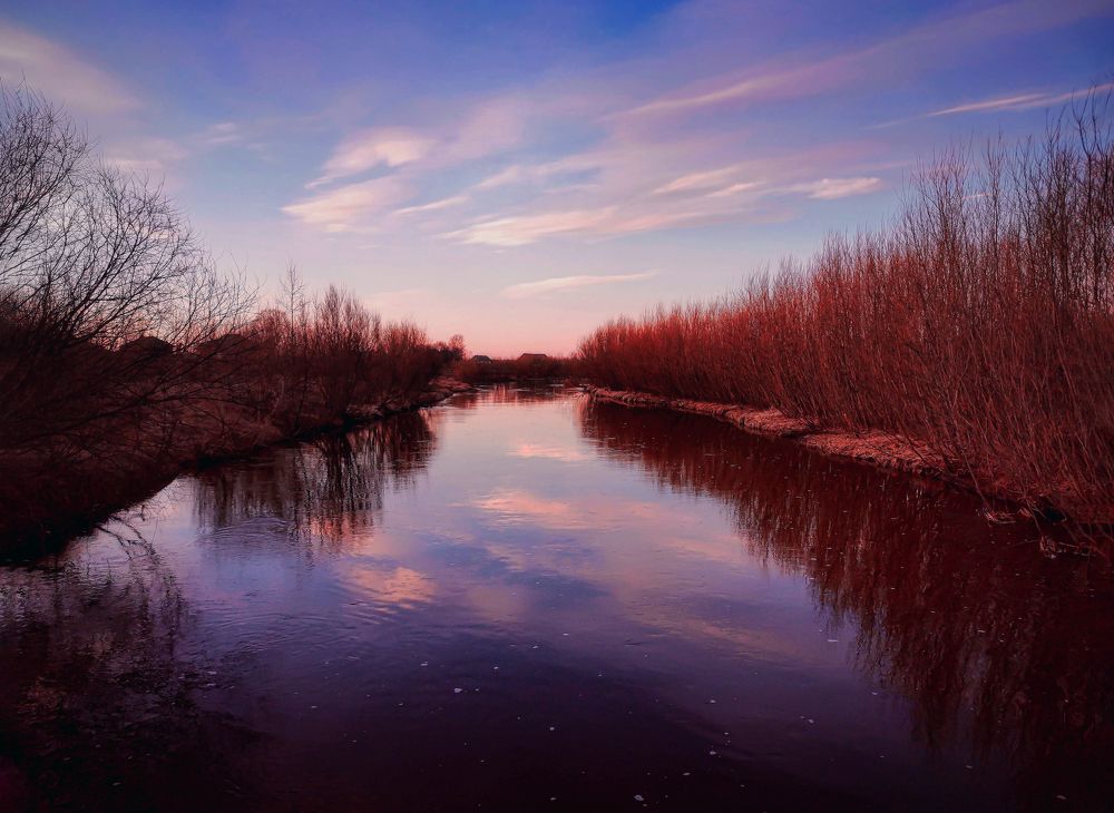 Photograph by Светлана Перминова