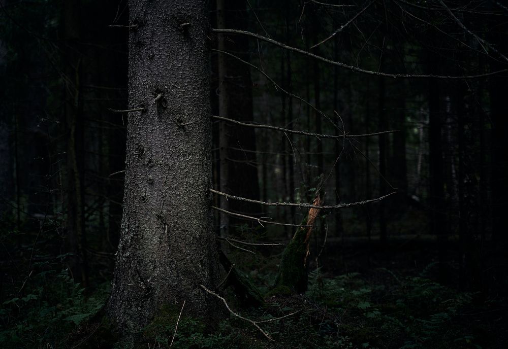 Фотография автора Александр Османов