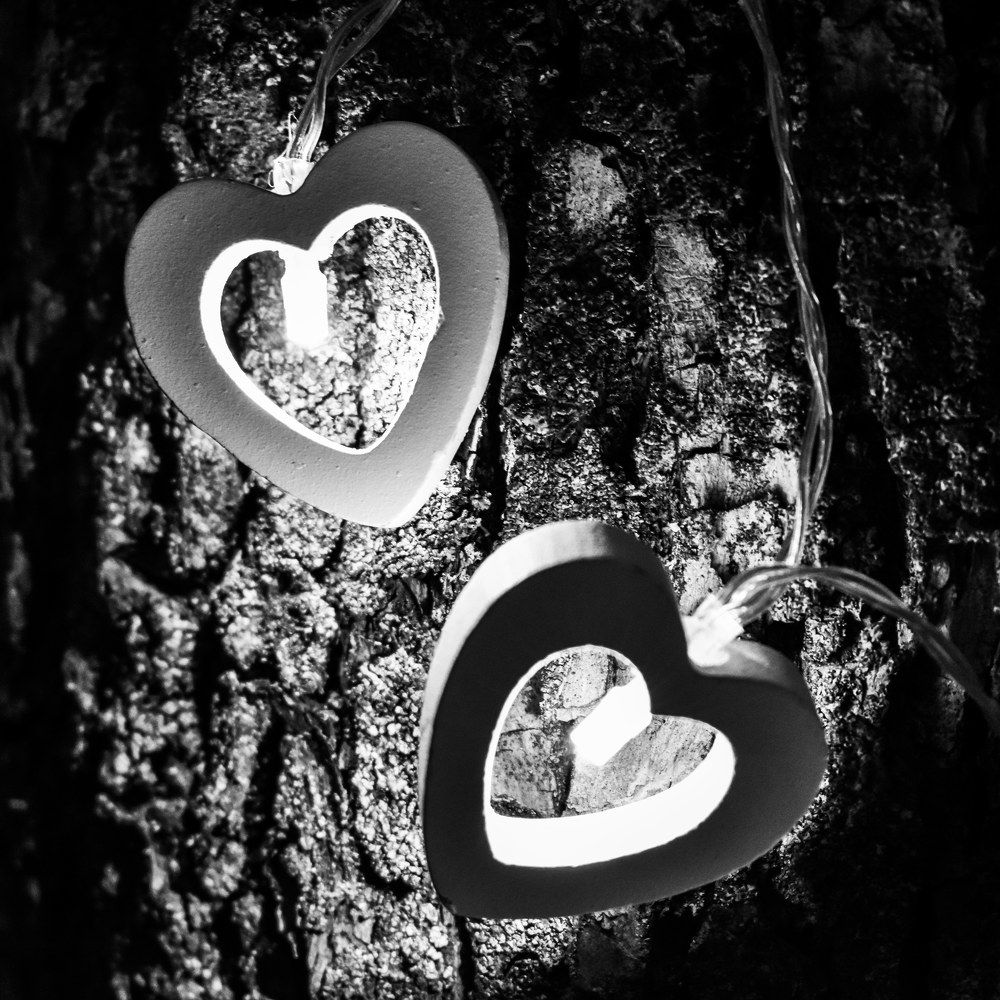 Фотография автора Моисеева Ольга