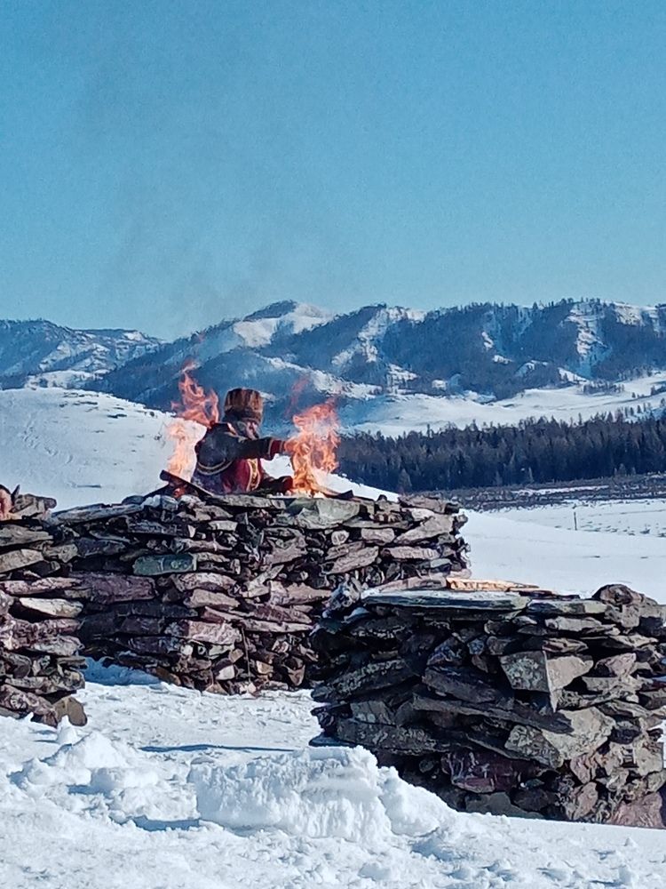 Photo #7150565