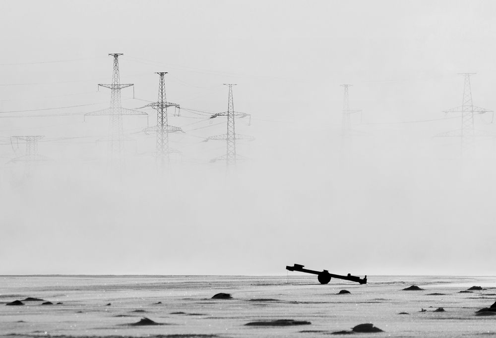 Photograph by Крицак Ольга