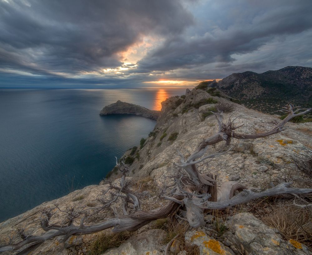 Фотография автора Екатерина Дмитренко